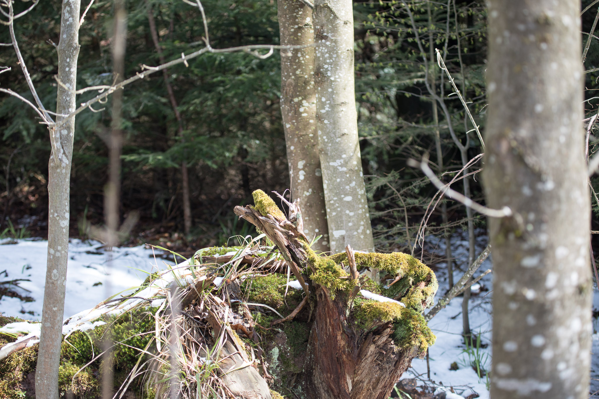 20220409151107 RD4 6479